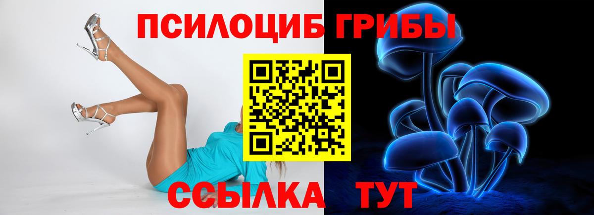 Галлюциногенные грибы GOLDEN TEACHER Обнинск